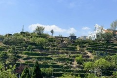 布伦特福德队长柯林斯受热刺利物浦曼联等多家英超豪门关注，转会引援在即